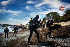 Marine Science Center Co-op and Internship
